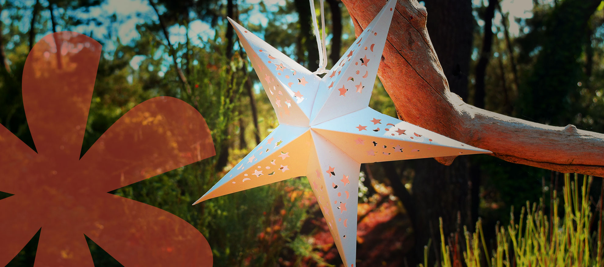 Christiane Grimaud, Coach en développement personnel et RH 44 Nantes et Saint Brévin